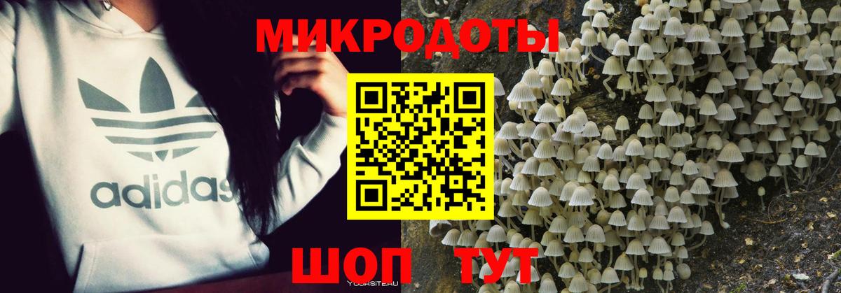 Удомля  Псилоцибиновые грибы мухоморы  Вход с VPN  Псилоцибиновые грибы GOLDEN TEACHER 