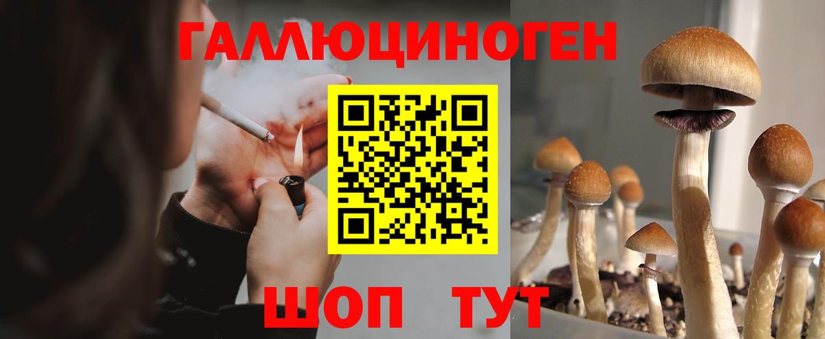 Псилоцибиновые грибы прущие грибы Удомля